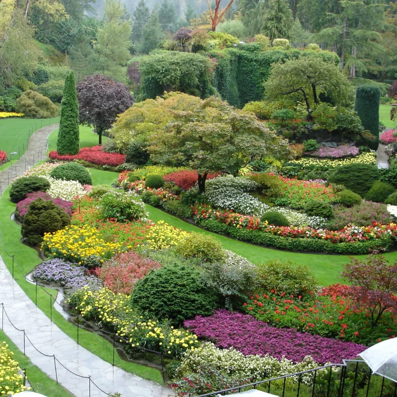 Jardim